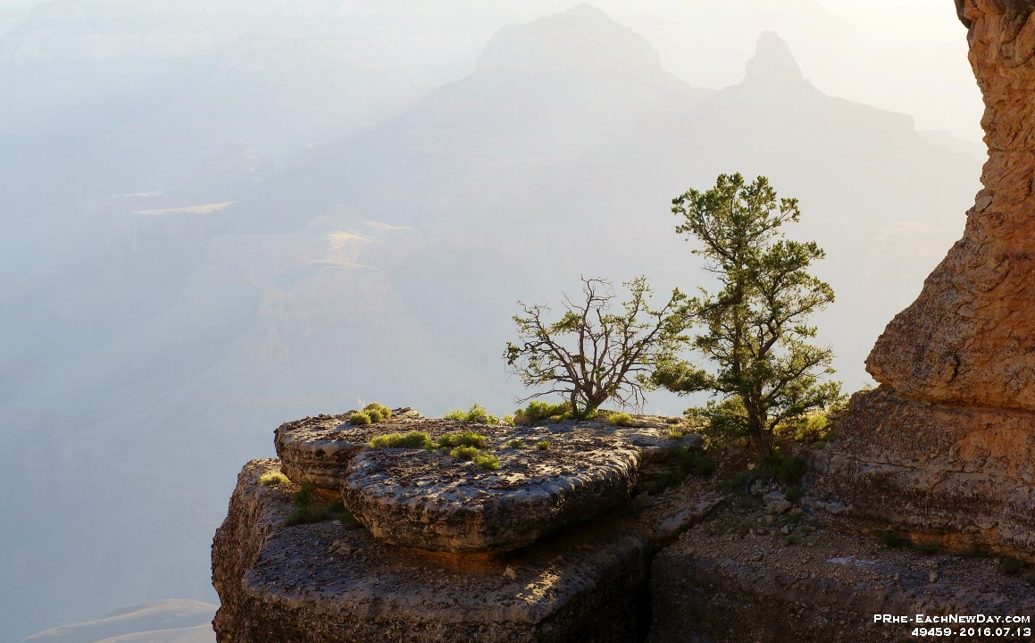 49459RoCrLeSh - Along Bright Angel Trail